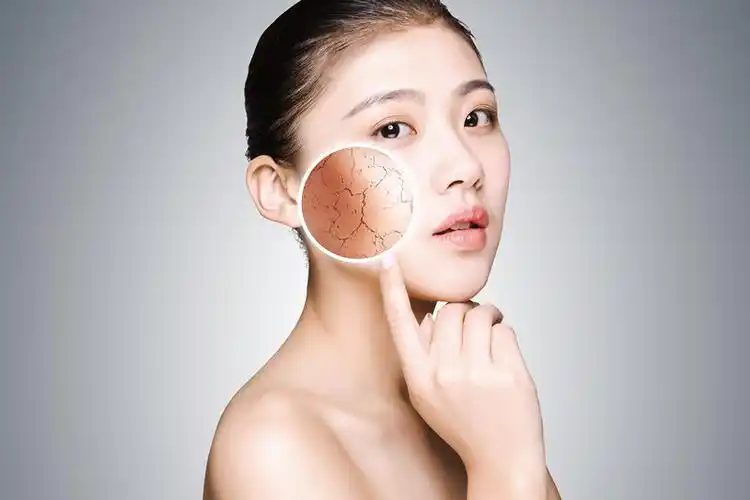 妇科修复敷料解析 女性变老,变丑居然跟它有关联——荷尔蒙!|学术文章