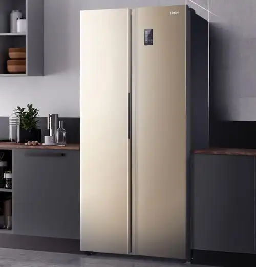 京东双开门冰箱排行榜:600l容量,3000价位都有哪些冰箱品牌?67