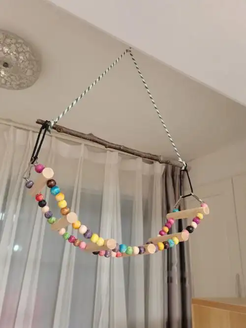 自制鹦鹉秋千站桥