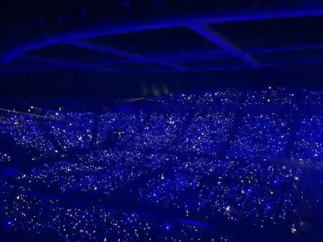 黄金鹿海 勋章星海 曼联红海 甜蜜蜜玫瑰海鹿晗reloaded演唱会应援