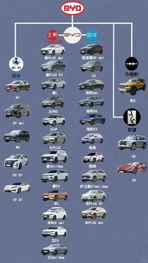 国产热门新能源汽车全系图谱