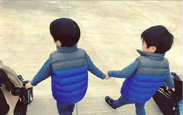 林志颖妻子晒双胞胎儿子萌照,兄弟俩手拉手散步如复制粘贴