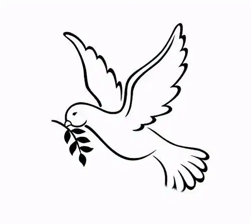 鸽子怎么画简笔画图片