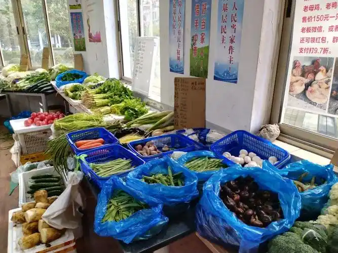 上海虹口试点把微型菜场开到家门口小区里就能买到菜