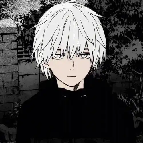 帅气黑白动漫男头