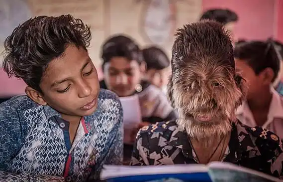 记者 朱盈库】家住印度中央邦拉特拉姆市的13岁男孩拉里特·帕迪达尔