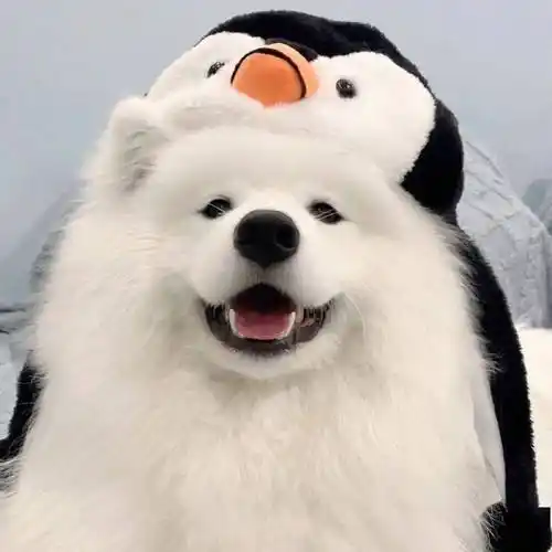 363436373039头像 | 心仪已久的ins头像