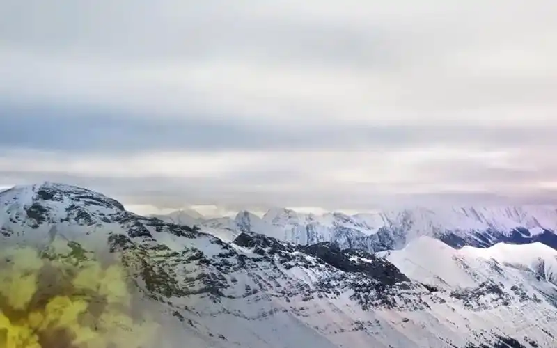 21天自我管理初阶训练营第22期