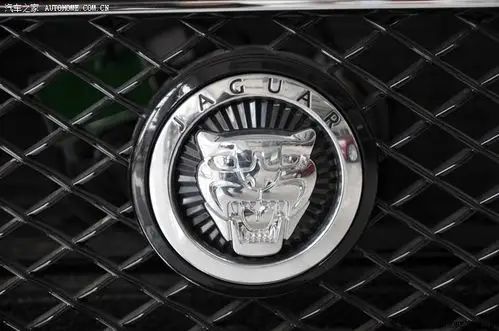 200w车车这个车标会镀铬吧