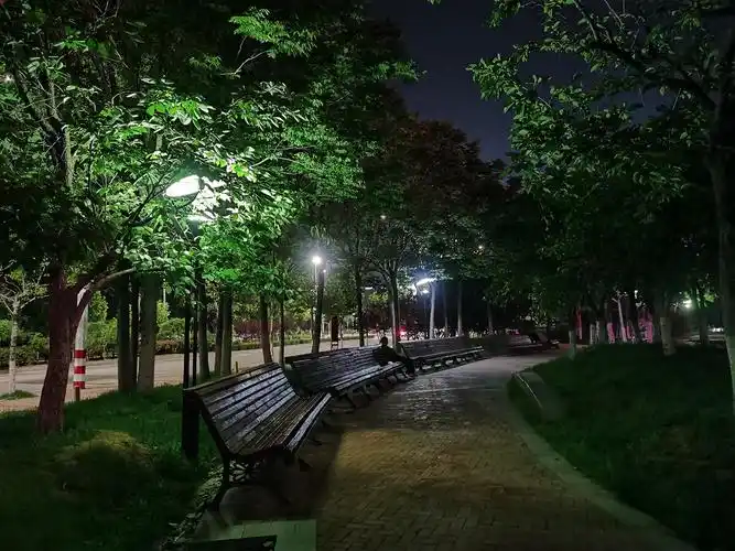 夜晚的公园一角静谧