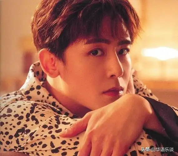 追光吧2开录,宝藏阵容不输《披哥》,韩流爱豆成节目顶流|尼坤|宋茜