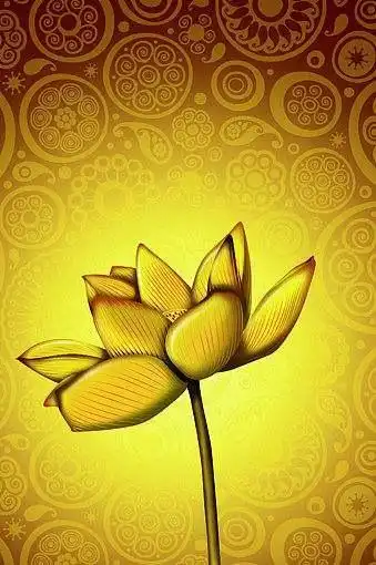 莲花 荷花 金色 金莲花 花纹 背景 分层 佛光