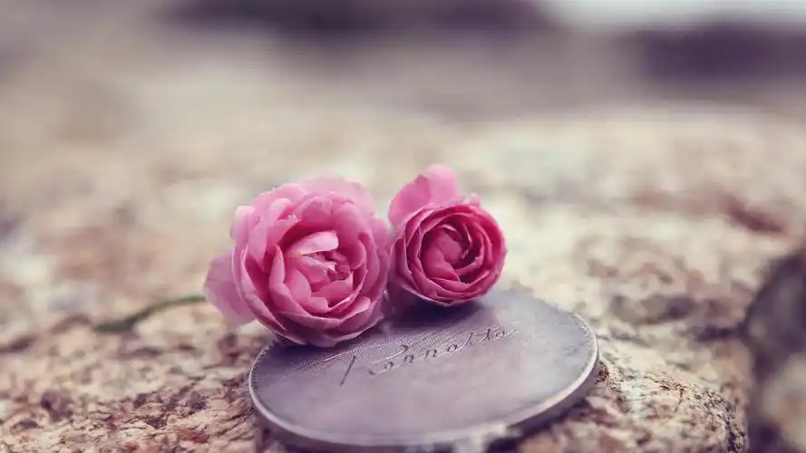 艾丽胶囊主要成分是什么服用时需要注意什么