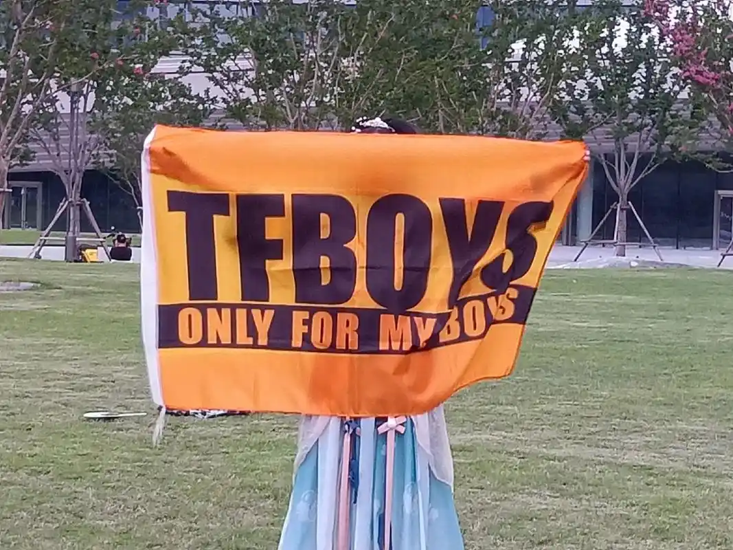 tfboys十年之约 #十周年场外应援 #共同奔赴十年之约 - 抖音