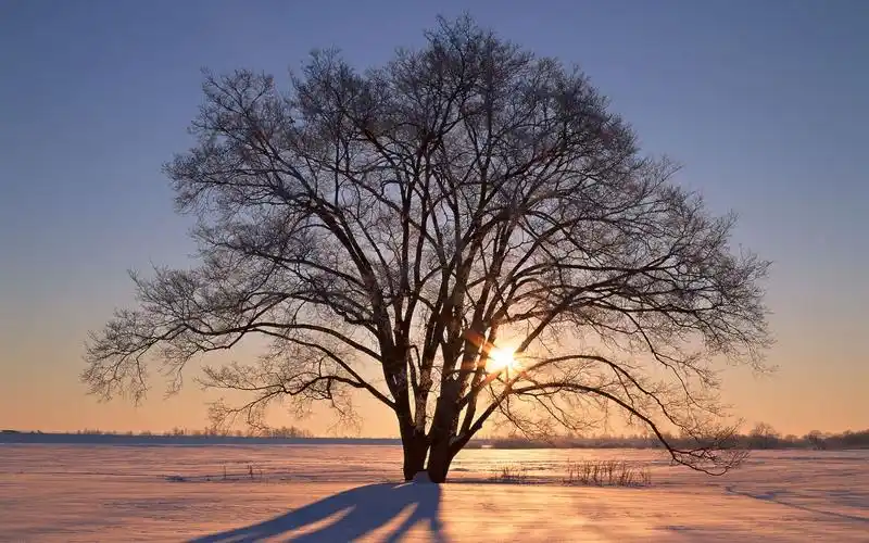 黄昏绚丽晚霞美景