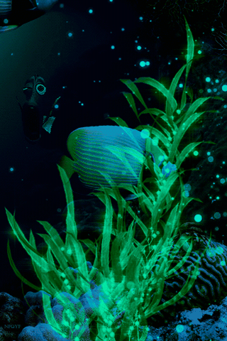 320_480竖版 竖屏gif 动态图 动图