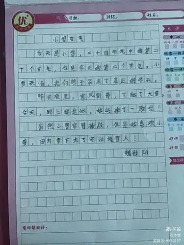 满城楼观玉阑干,小雪晴时不共寒——张家小学二年级二十四节气日记之