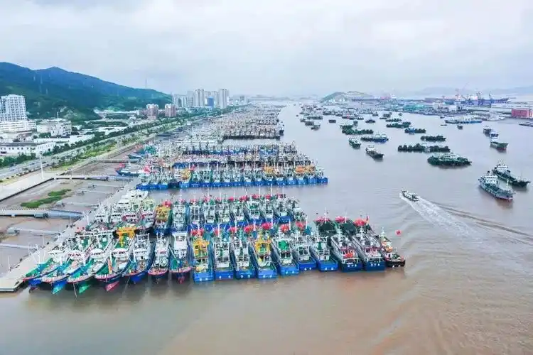 奔赴渔场投入生产2700余艘渔船将结束休渔明天上午10时小布从市海洋与