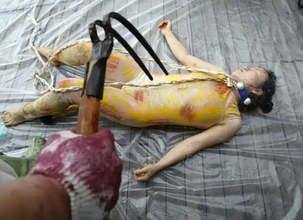 韩国"行为艺术"抗议吃狗肉