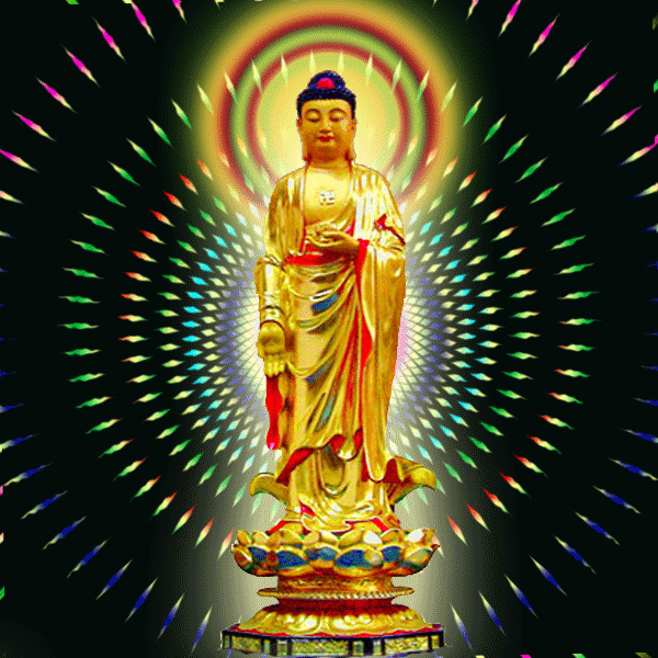 2019年最后一天,诚心许愿,祝愿新的一年家庭和顺,无灾无祸