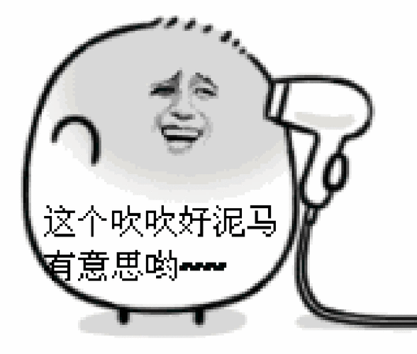 金馆长吹风机大笑这个吹吹好尼玛有意思呦gif动图_动态图_表情包下载