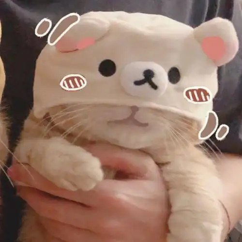 猫咪 头像