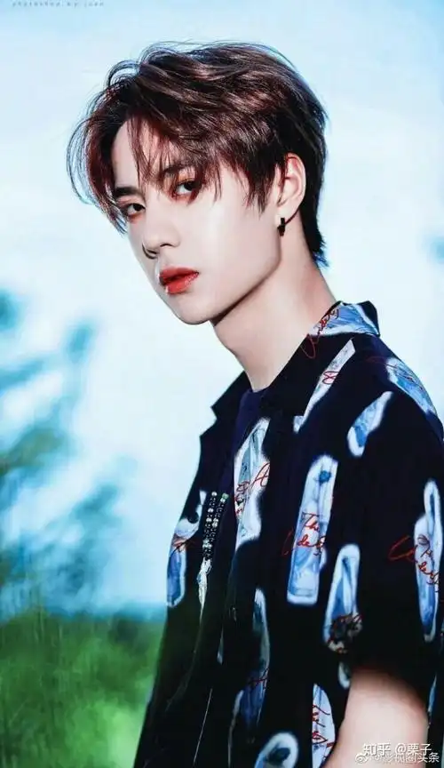 国内有什么酷酷的男明星