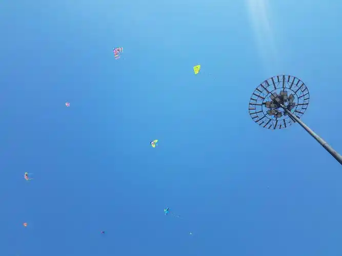 5.4天地大课堂,放飞自我,拥抱自然