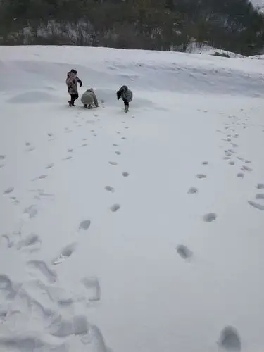 雪地里的脚丫