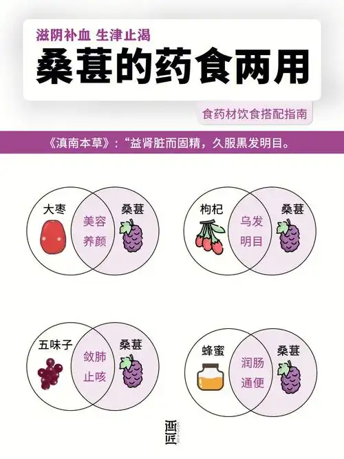 药食两用丨桑葚的的饮食搭配指南73