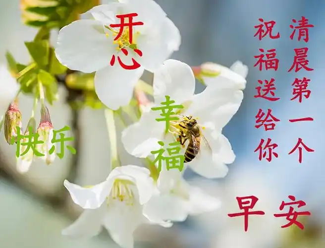 朋友圈全新早安暖心祝福图片带字,2021年最美的早安祝福问候语录