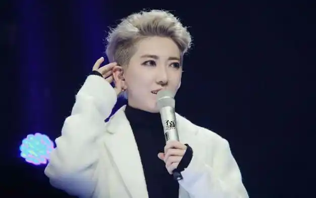 浪姐2的歌手姐姐比较多,有那英,周笔畅,吉克隽逸等,人气最高的是