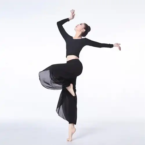 古典舞服飘逸雪纺舞韵瑜伽服裤现代舞练功服中国舞蹈灯笼裤瑜伽裤