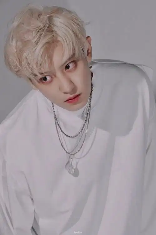 exo朴灿烈cr朴猴宝