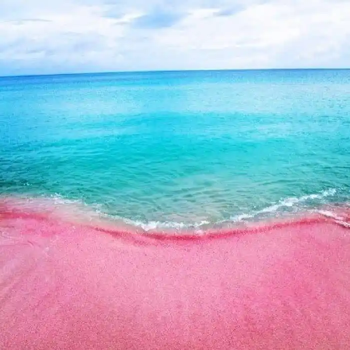 最梦幻的粉色沙滩