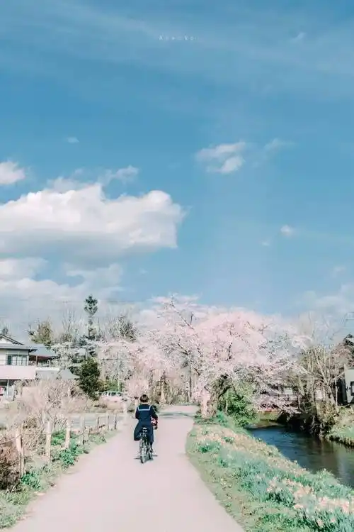 壁纸 桌面 1024_1536 竖版 竖屏 手机