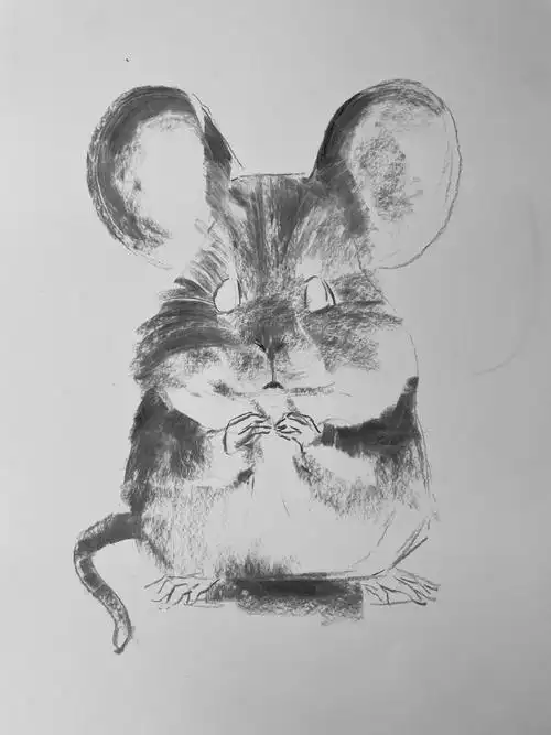 绘画参考##绘画##素描##画画##手绘##子小伟##速涂萌宠##创意素描