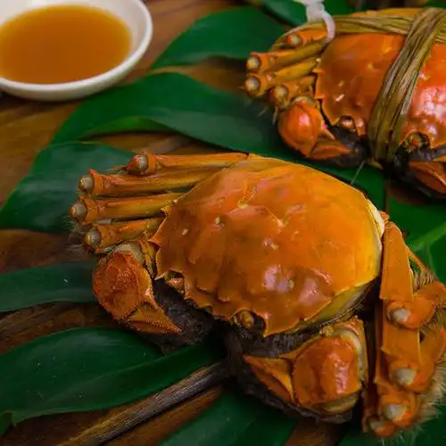 兴化大闸蟹|膏红,肉鲜,现在吃它最肥美!