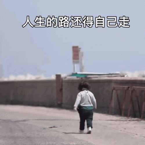 人生的路还得自己走人生自己表情