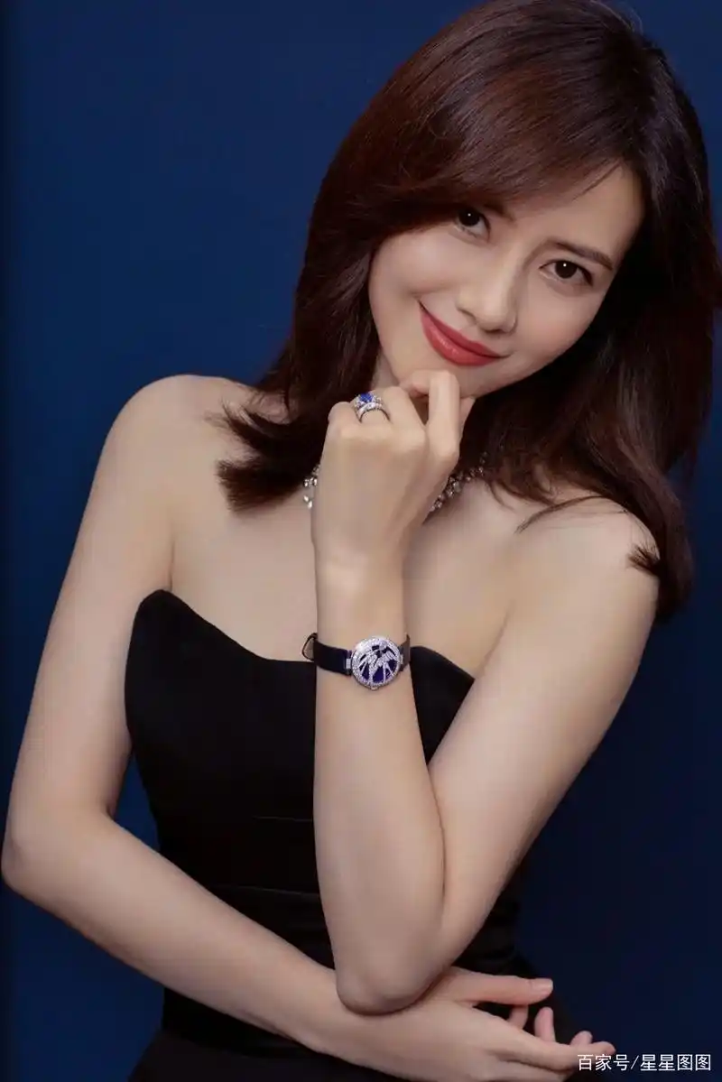 明星图集~高圆圆