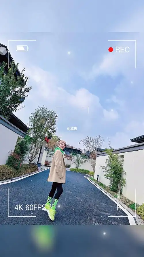 女人四十一朵花