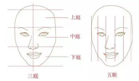 衡量眼睛在面部整体中的比例根据"三庭五眼"美学标准2,看五官的协调性