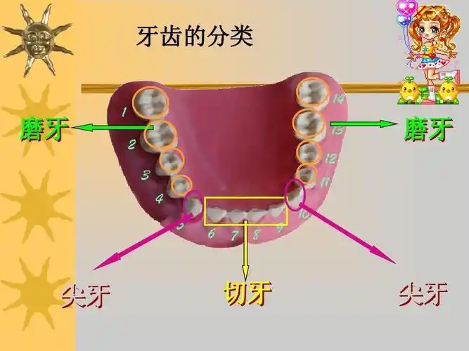 西街幼儿园大三班家长进课堂活动--------《保护牙齿》