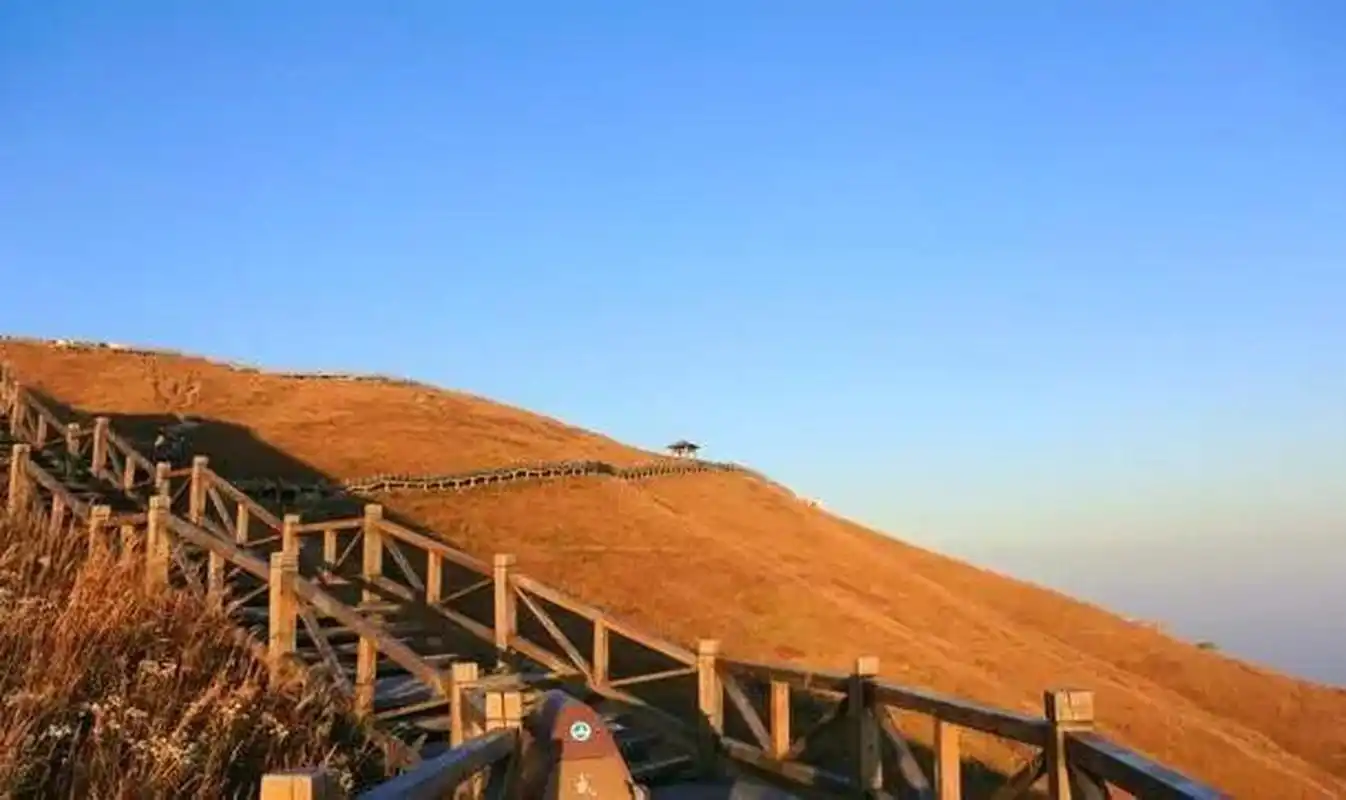 武功山的资源特色可以用于以下几个方面:  甸草奇观:武功山广阔无际的