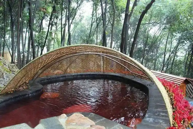 【张家界·万福温泉||周末节假日适用】打卡张家界人气景点!