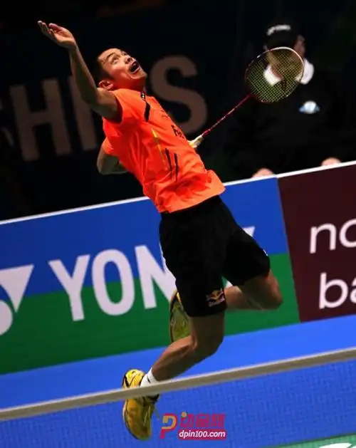 李宁ayzg031-1男款羽毛球专业比赛鞋