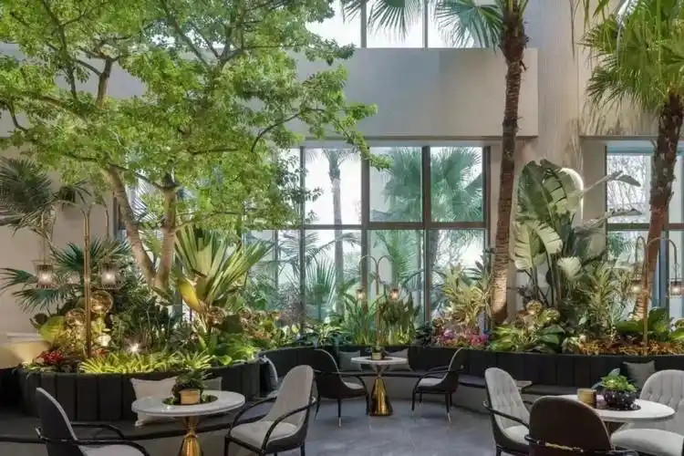 室内园林景观办公餐饮空间绿植景观造景