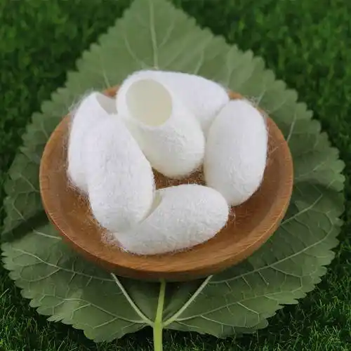 蚕丝从纤维到蛋白质的转型