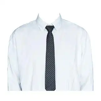 白衬衫紫色领带单人证件照模板2063222631女士证件照正装psd素材集合2