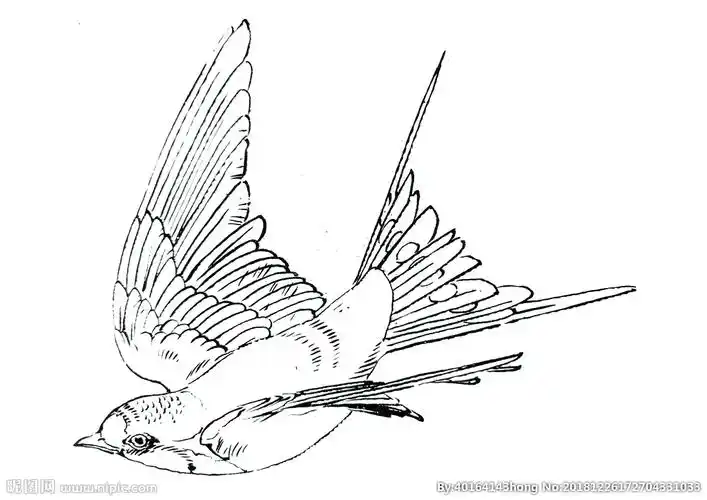 cmyk10共享分举报收藏立即下载×关 键 词:燕子 线描 手绘 鸟 白描